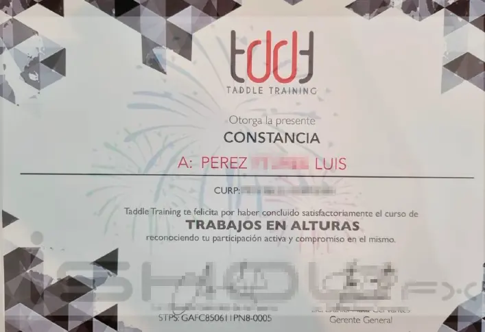 Certificado Trabajo en Alturas
