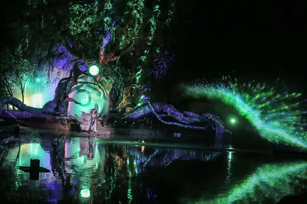 Pantalla de agua lago de los Cisnes